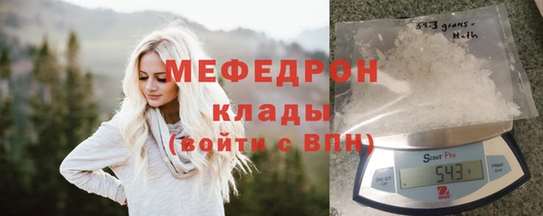 прущие грибы Лабытнанги