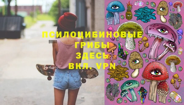 прущие грибы Лабытнанги
