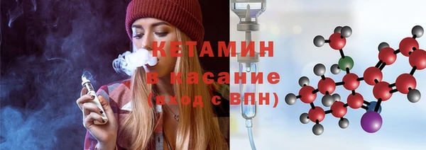прущие грибы Лабытнанги