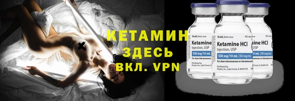 прущие грибы Лабытнанги