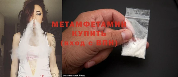 прущие грибы Лабытнанги