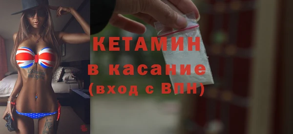 прущие грибы Лабытнанги