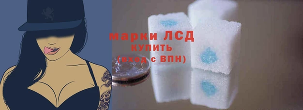 прущие грибы Лабытнанги