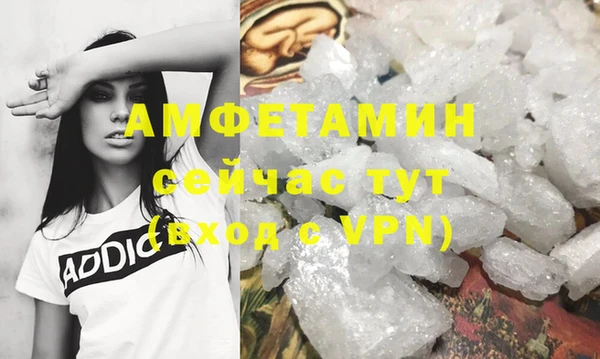 прущие грибы Лабытнанги