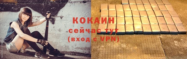 прущие грибы Лабытнанги