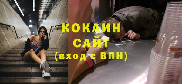 прущие грибы Лабытнанги