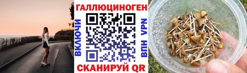Псилоцибиновые грибы мицелий  Иваново 