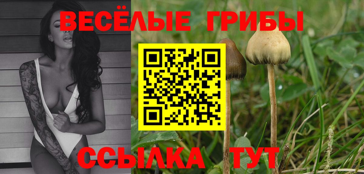 Псилоцибиновые грибы Psilocybine cubensis  Вход с VPN  Иваново 
